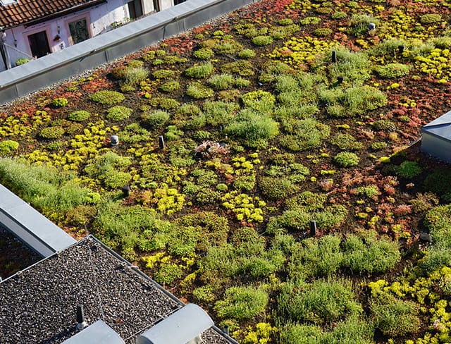 Bâtiment moderne et écologique avec toiture végétalisée